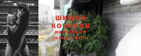 ешки Арсеньев