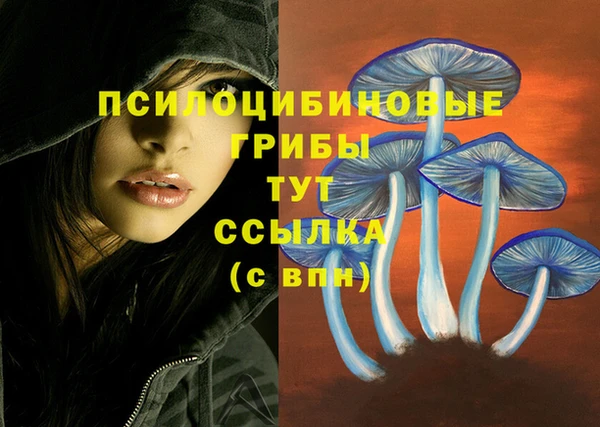герыч Аркадак