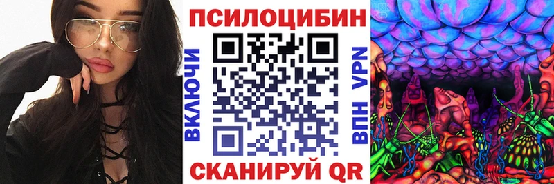 Галлюциногенные грибы Cubensis omg маркетплейс даркнет состав Озёрск